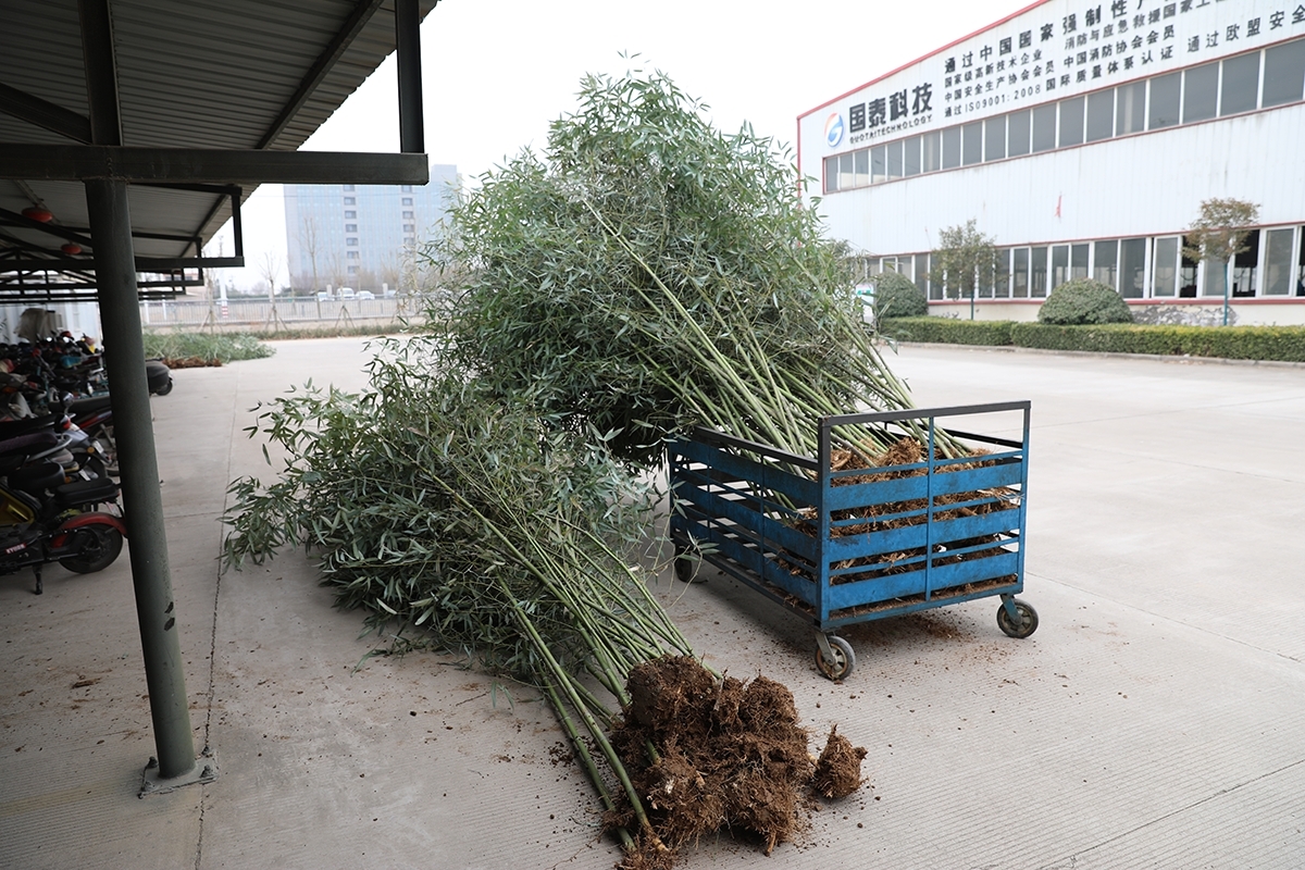 陽(yáng)春三月，一年一度的植樹節(jié)到來之際，為美化廠區(qū)，國(guó)泰科技公司全體員工舉行了“你我攜手，美化公司”植樹節(jié)義務(wù)植樹活動(dòng)。