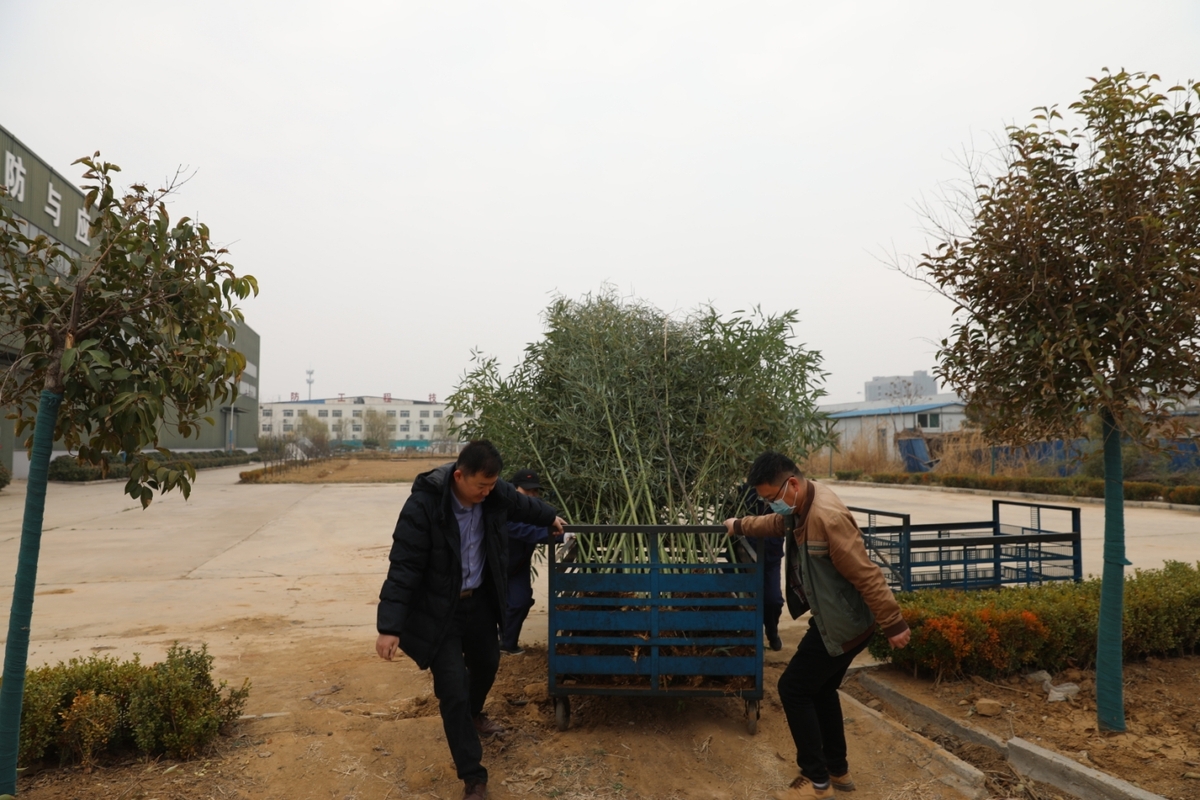 陽(yáng)春三月，一年一度的植樹節(jié)到來之際，為美化廠區(qū)，國(guó)泰科技公司全體員工舉行了“你我攜手，美化公司”植樹節(jié)義務(wù)植樹活動(dòng)。